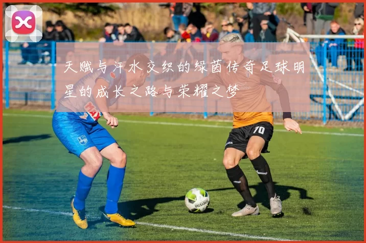 天赋与汗水交织的绿茵传奇足球明星的成长之路与荣耀之梦