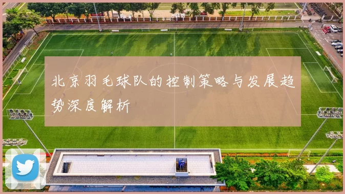 北京羽毛球队的控制策略与发展趋势深度解析