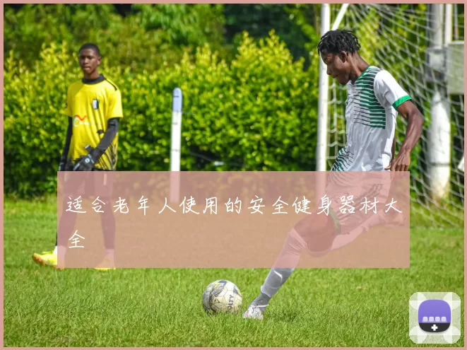 适合老年人使用的安全健身器材大全