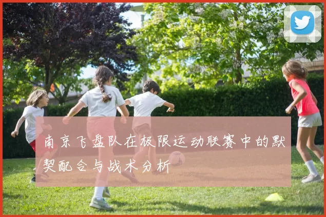 南京飞盘队在极限运动联赛中的默契配合与战术分析