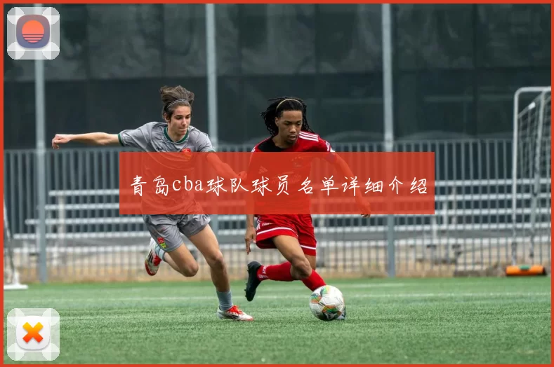 青岛cba球队球员名单详细介绍