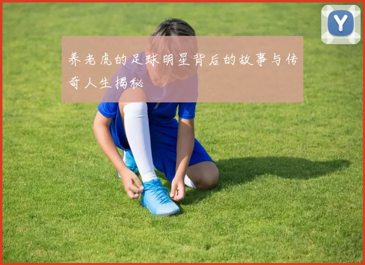养老虎的足球明星背后的故事与传奇人生揭秘