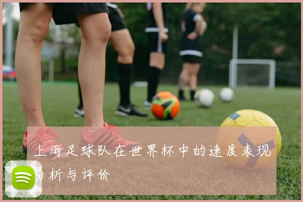 上海足球队在世界杯中的速度表现分析与评价