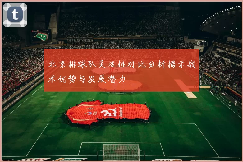 北京排球队灵活性对比分析揭示战术优势与发展潜力