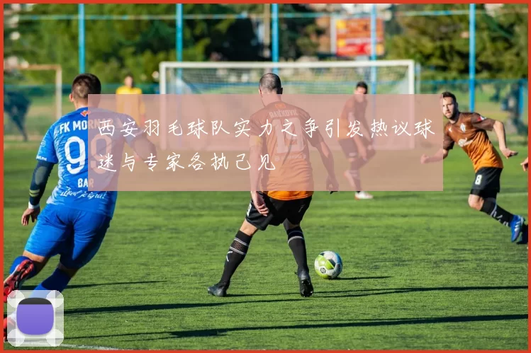 西安羽毛球队实力之争引发热议球迷与专家各执己见