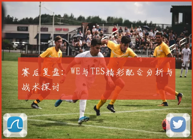赛后复盘：WE与TES精彩配合分析与战术探讨