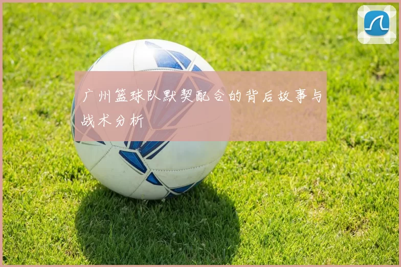 广州篮球队默契配合的背后故事与战术分析