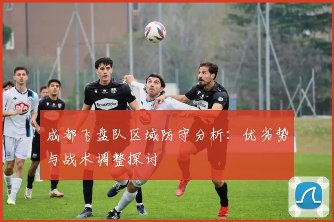 成都飞盘队区域防守分析：优劣势与战术调整探讨