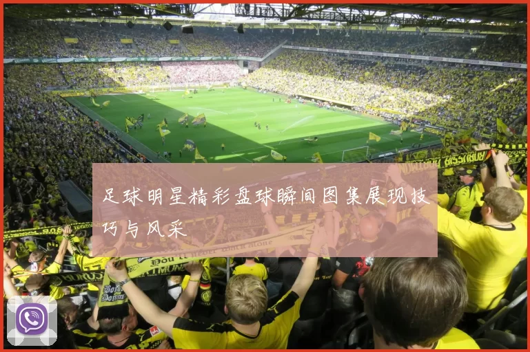足球明星精彩盘球瞬间图集展现技巧与风采