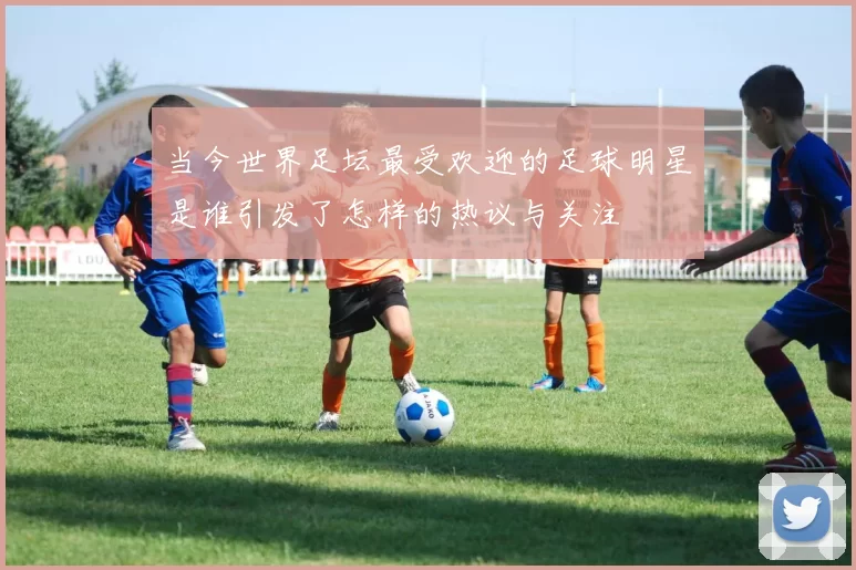 当今世界足坛最受欢迎的足球明星是谁引发了怎样的热议与关注