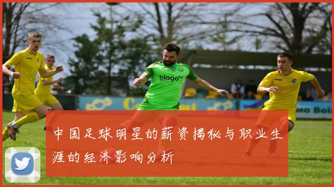 中国足球明星的薪资揭秘与职业生涯的经济影响分析