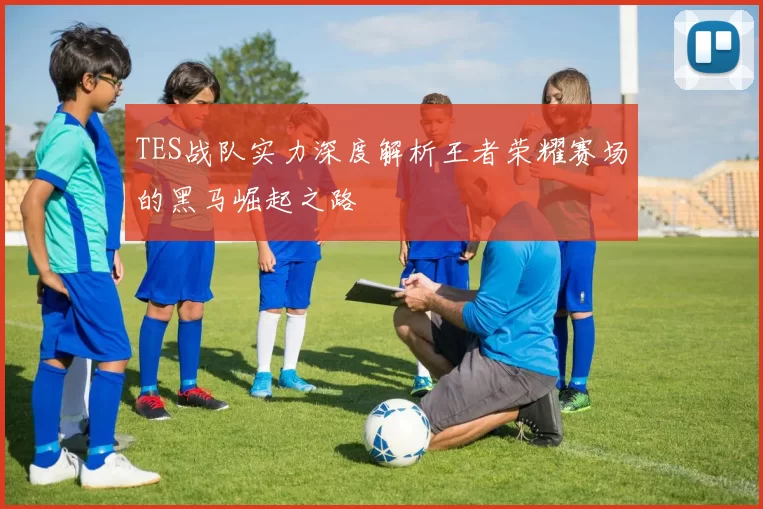 TES战队实力深度解析王者荣耀赛场的黑马崛起之路