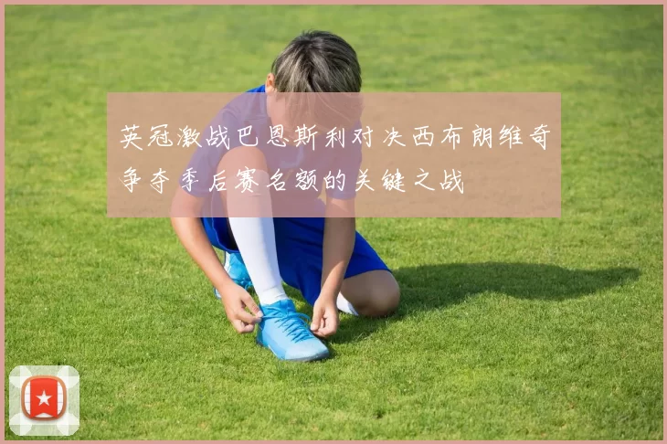 英冠激战巴恩斯利对决西布朗维奇争夺季后赛名额的关键之战