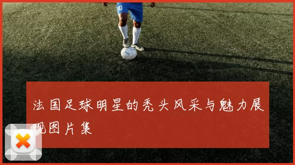 法国足球明星的秃头风采与魅力展现图片集