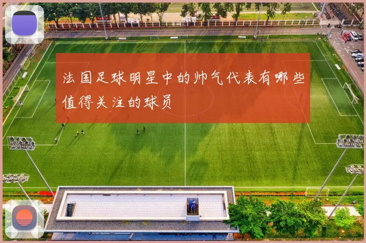 法国足球明星中的帅气代表有哪些值得关注的球员