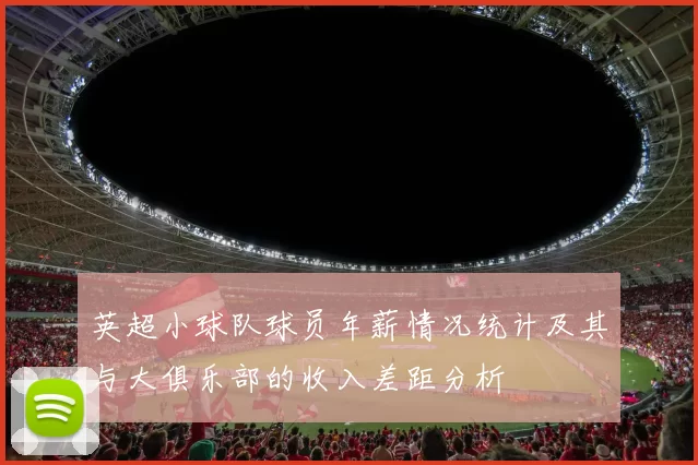英超小球队球员年薪情况统计及其与大俱乐部的收入差距分析