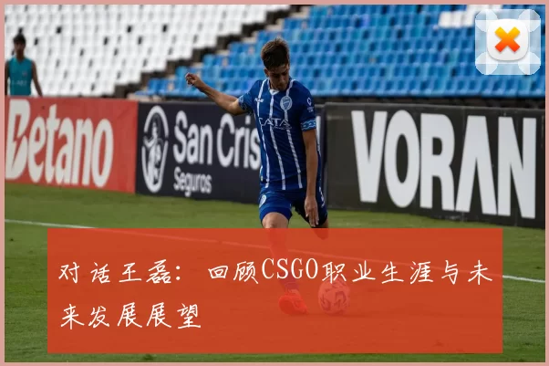 对话王磊：回顾CSGO职业生涯与未来发展展望