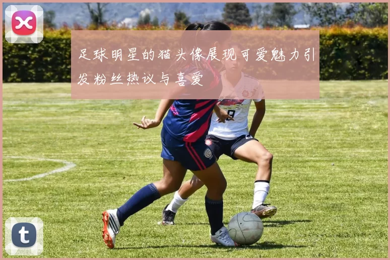 足球明星的猫头像展现可爱魅力引发粉丝热议与喜爱