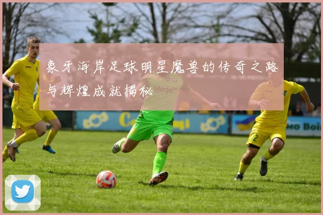 象牙海岸足球明星魔兽的传奇之路与辉煌成就揭秘