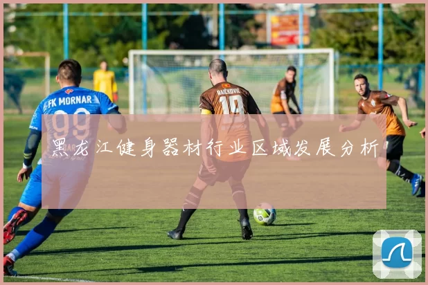 黑龙江健身器材行业区域发展分析