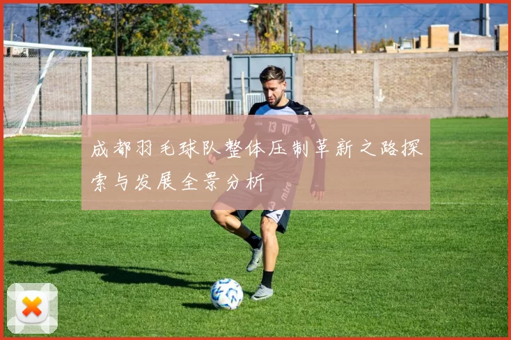成都羽毛球队整体压制革新之路探索与发展全景分析